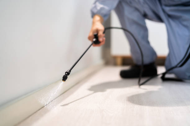 Rodent Entry Point Assessment in Scotts Valley