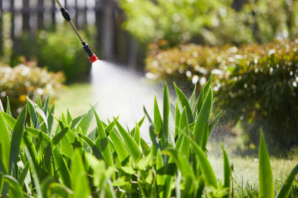 Tamper-Resistant Bait Stations for Rodents in Scotts Valley