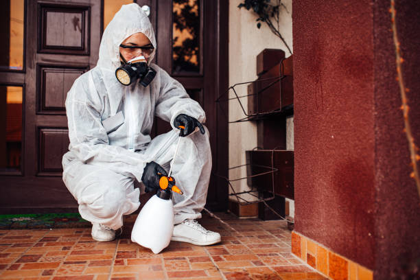 Attic and Crawl Space Rodent Treatment in Scotts Valley