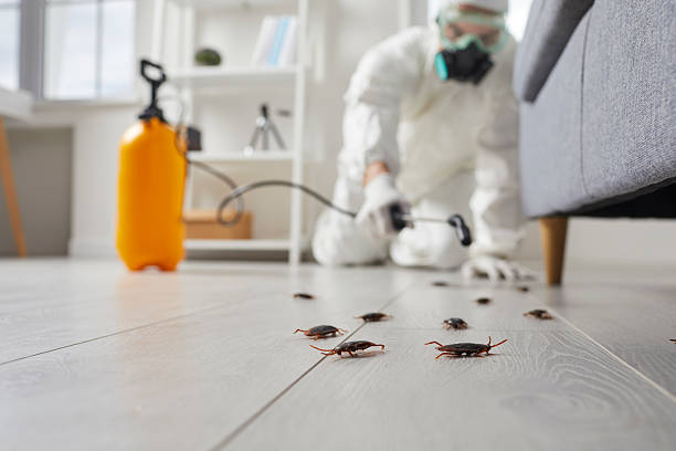 Commercial Rodent Management in Scotts Valley